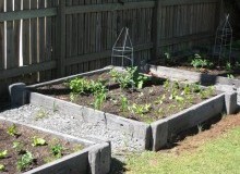 Kwikfynd Organic Gardening
barringtontops