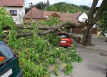 Kwikfynd Tree Cutting Services
barringtontops